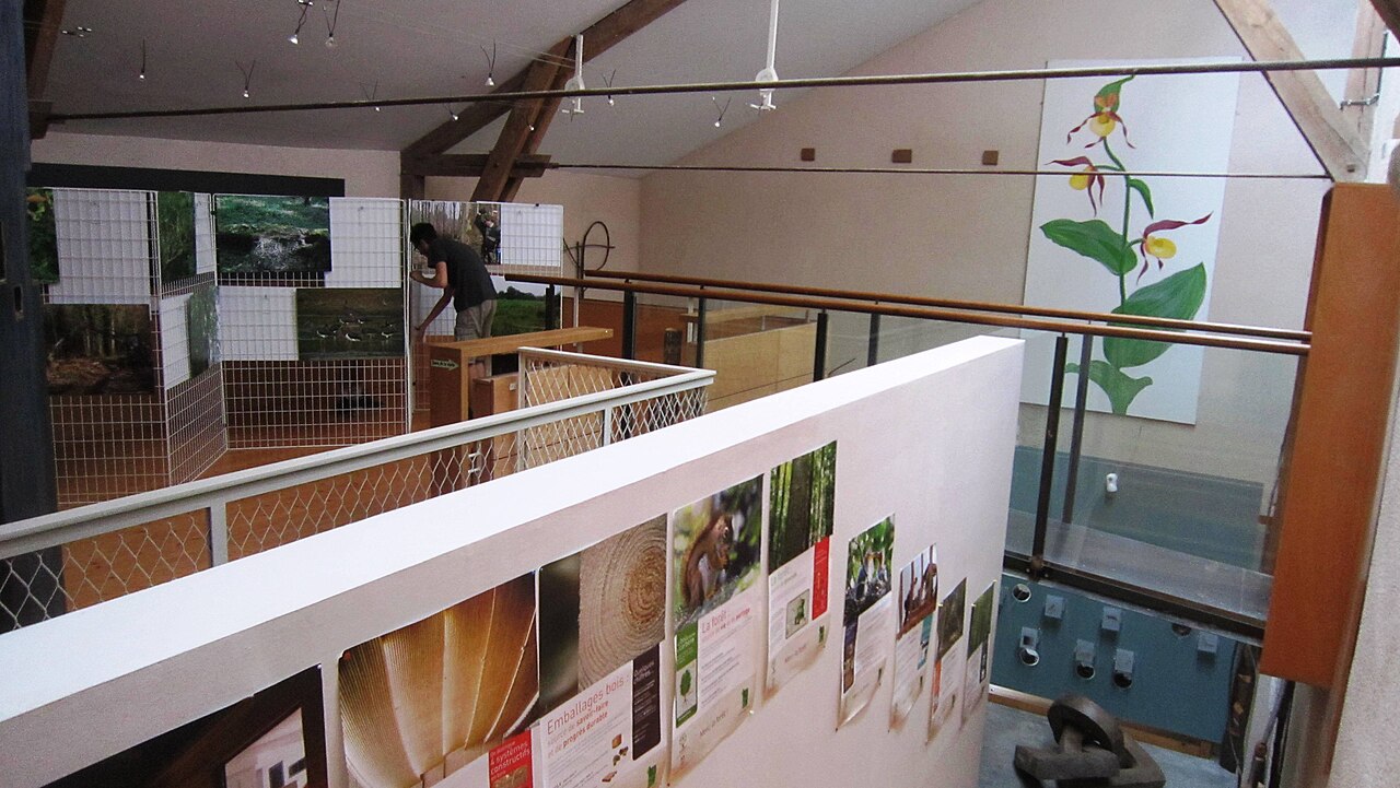 Bornes de la forêt de Mirebeau-sur-Bèze